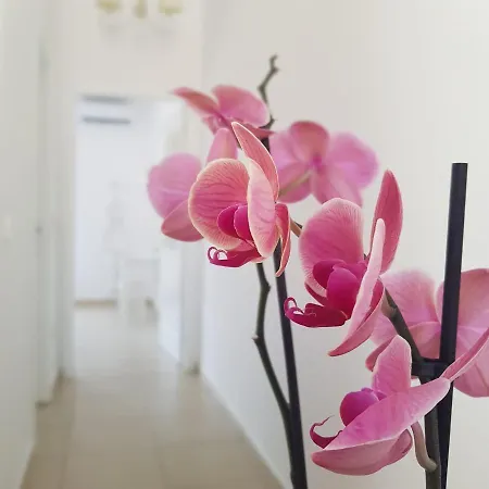 Apartment Katy's Luxury Aparments Paralia Kourna